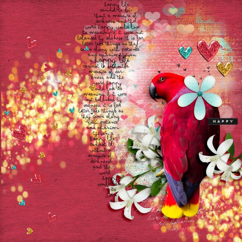 Tropical Plumage