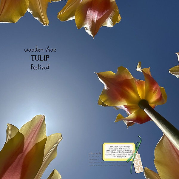 Tulip Festival