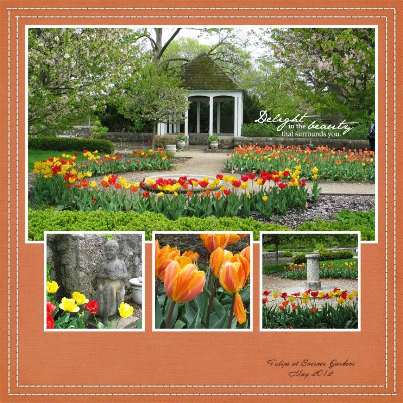 Tulips at Boerner Gardens TLP_MOC_Day24