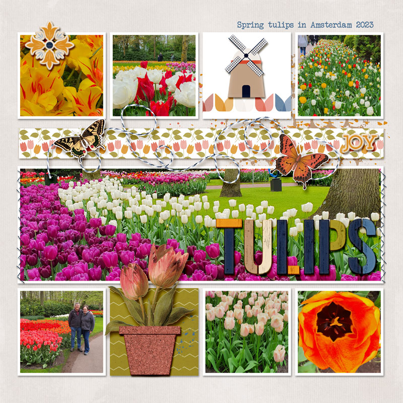 Tulips
