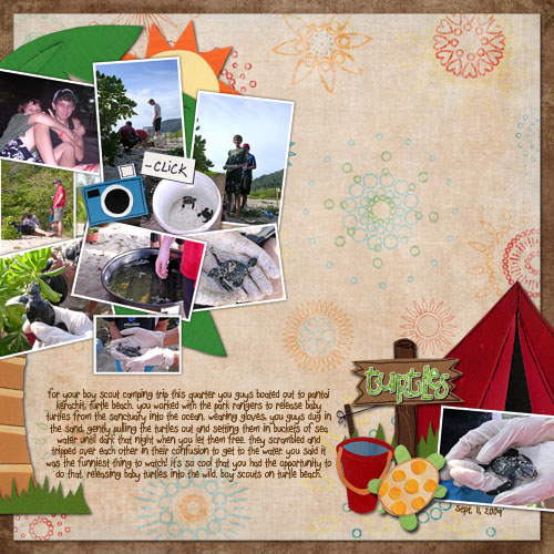 Turtle Beach *Blog Challenge*