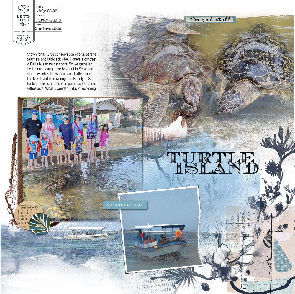 turtle island lp.jpg