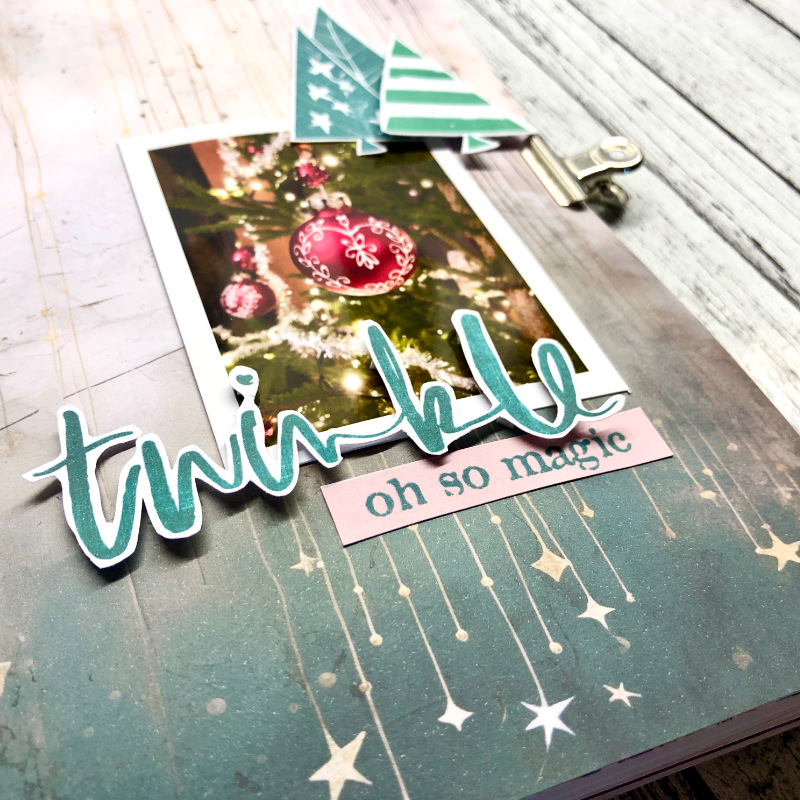 Twinkle season - hybrid - close up 1