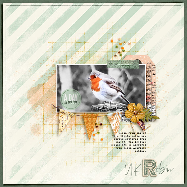 UK Robin