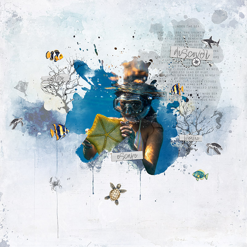 Under The Sea