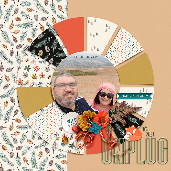 Unplug