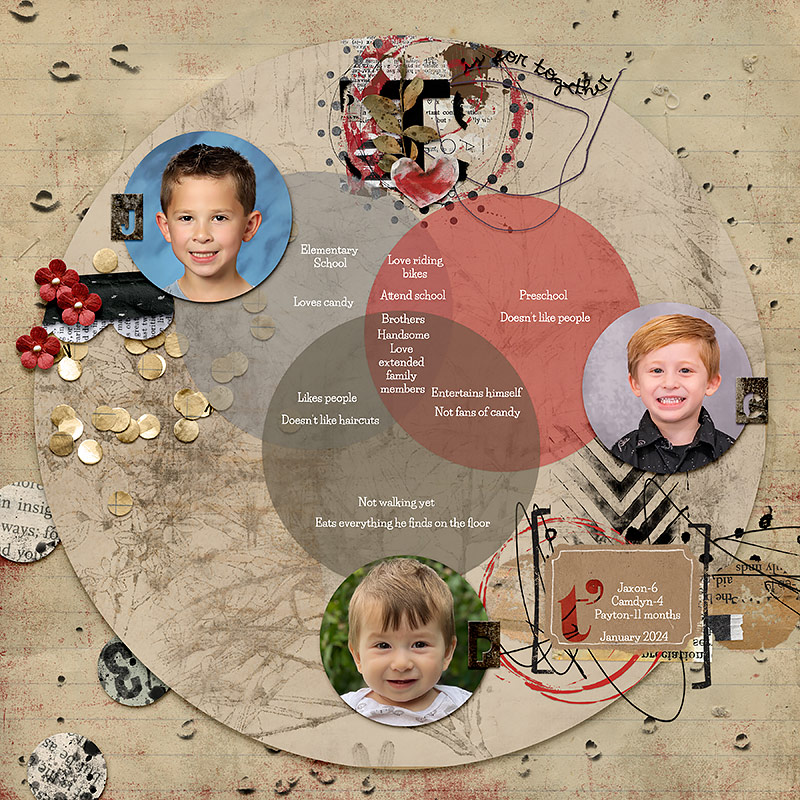 Venn-diagram