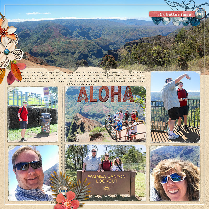 Waimea Canyon Lookout