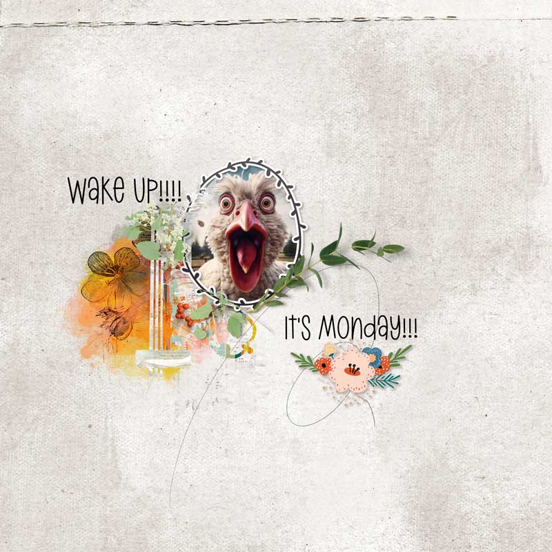 Wake-Up It's Monday