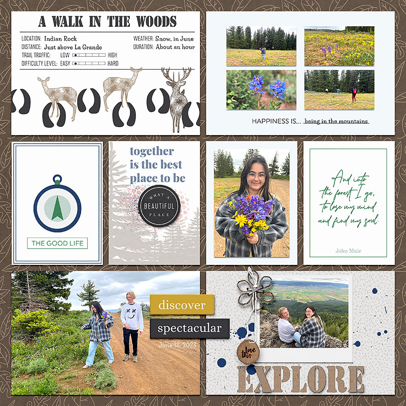 Walk-in-the-woods