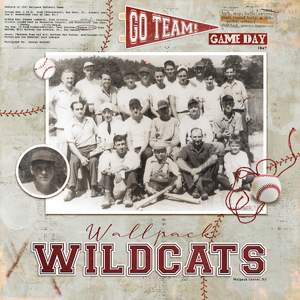 Wallpack Wildcats