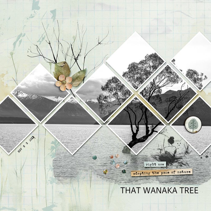 WANAKA