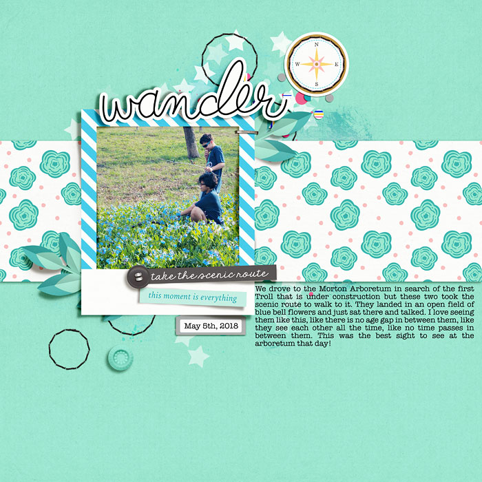 Wander - Slow Scrap iNSD 5/6