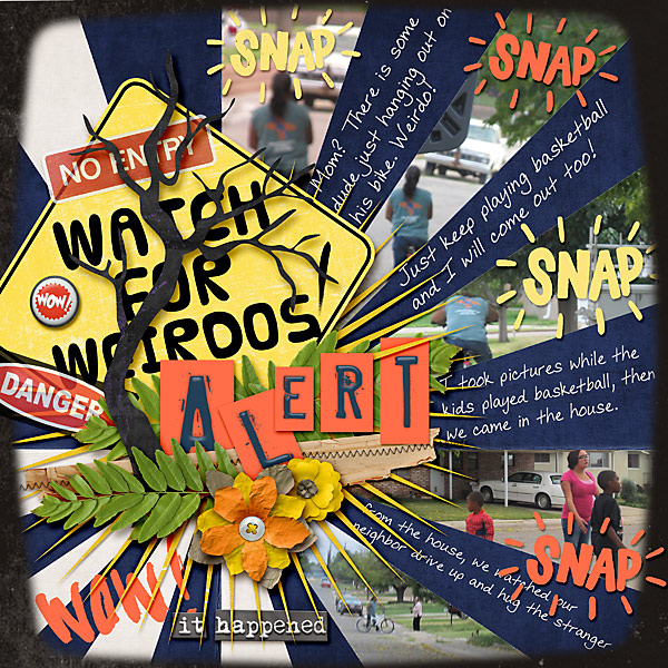 Watch for Weirdo Alert MOC29