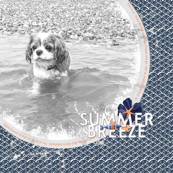 Water Dog