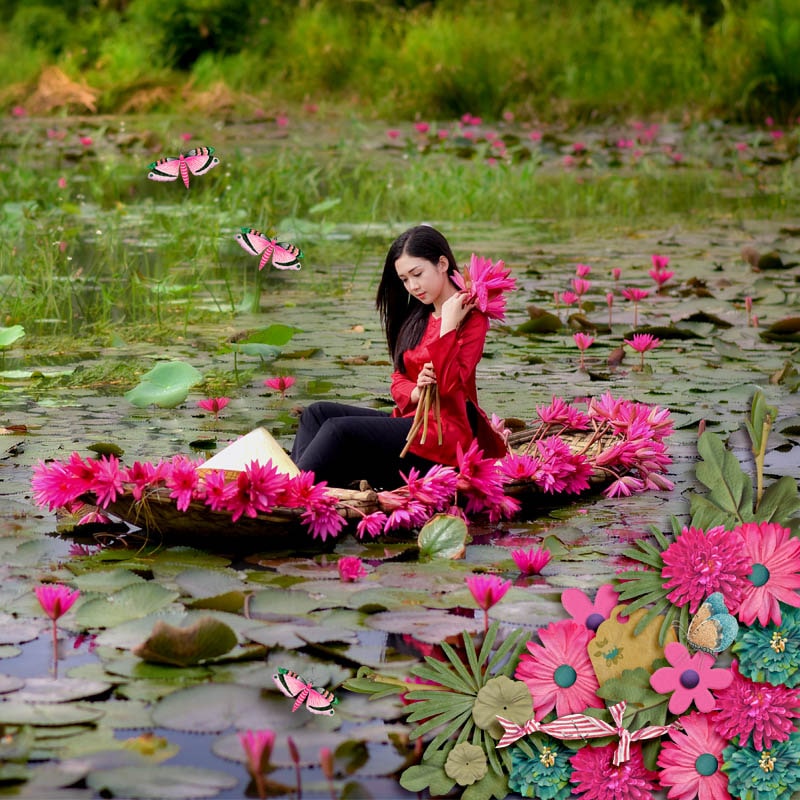 Water Lily