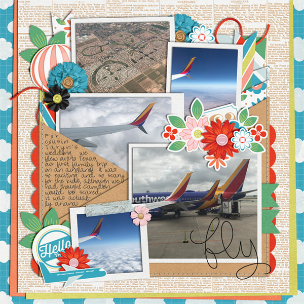 Wc_bbonneville_takeflight_sm