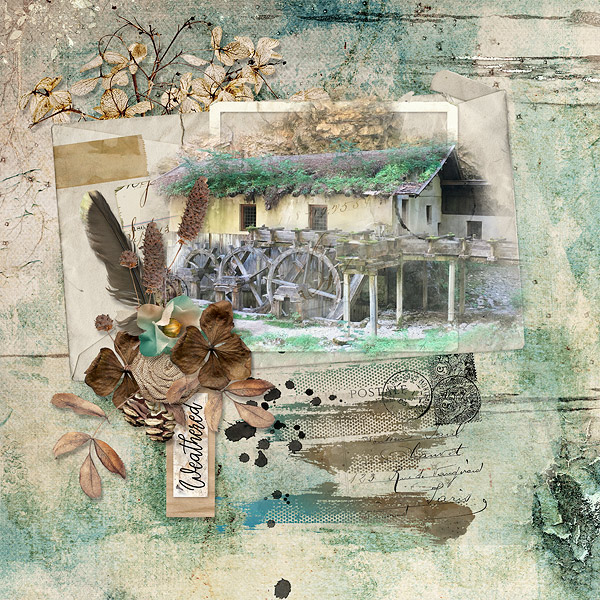 weathered