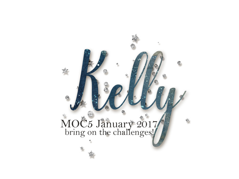 Web-2017-01 Siggy