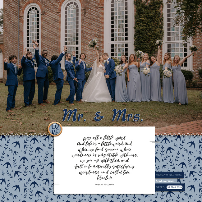 Wedding-Party-MOC-12-Jan-9-Big-Photo