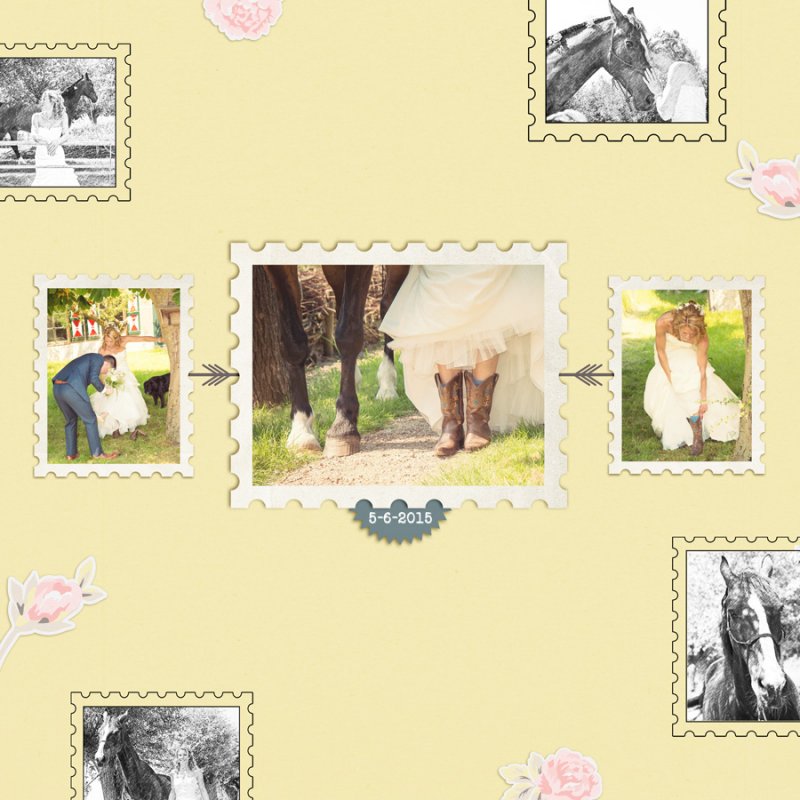 Wedding Story