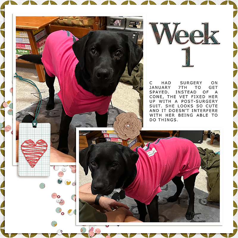Week 1