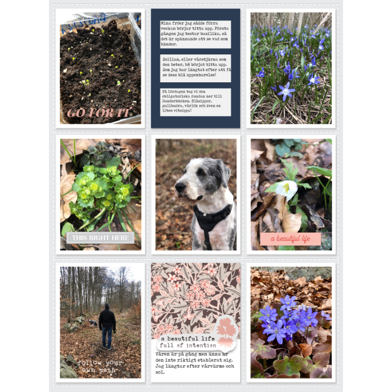 Week 12b 2023