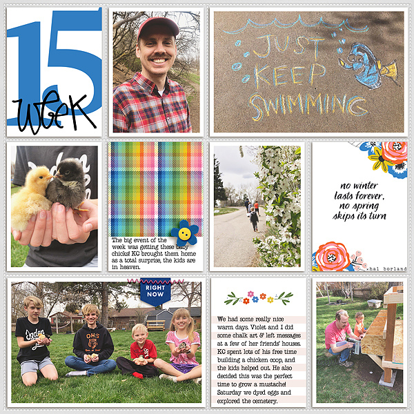 Week 15