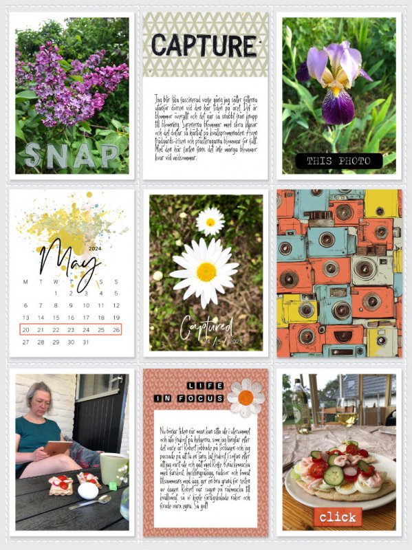 Week 21a 2024