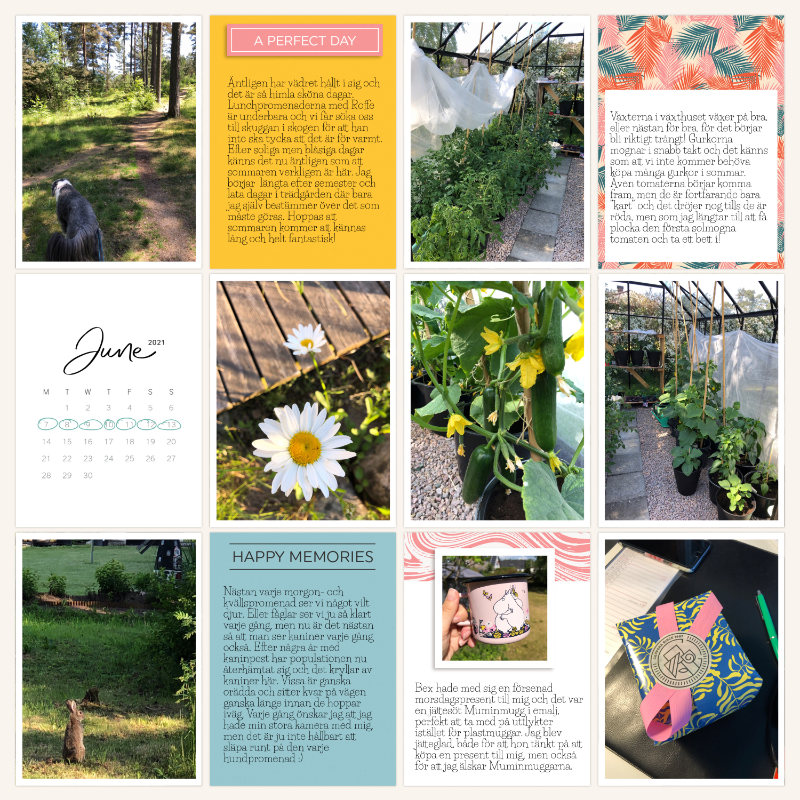 Week 23 2021 a