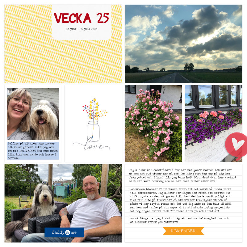 Week 25a 2018