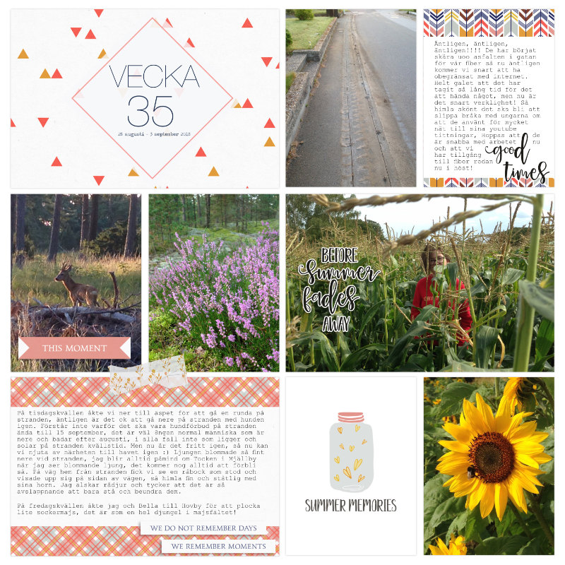 Week 35 2017 a