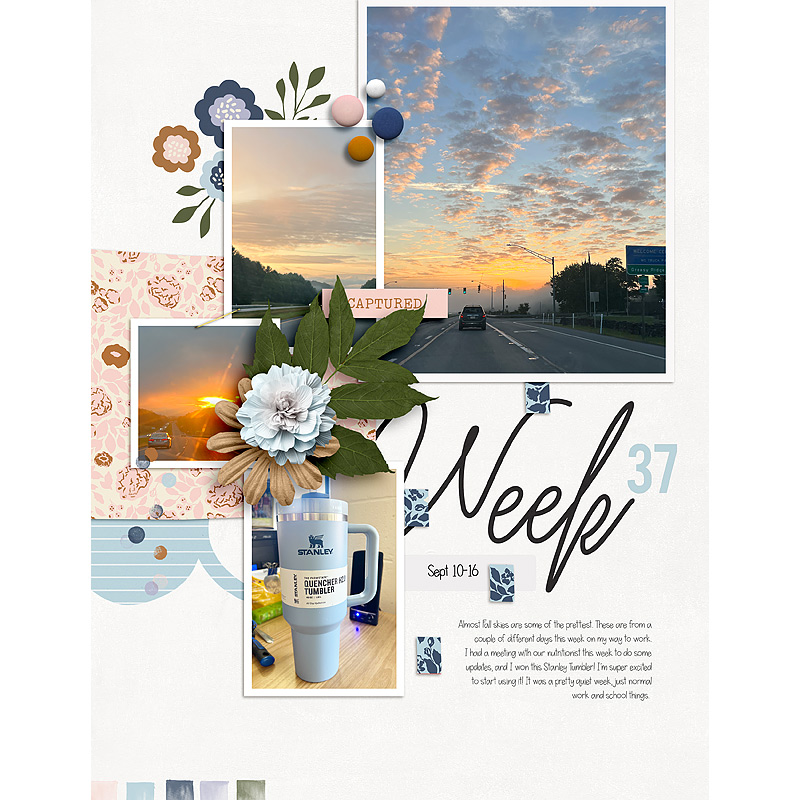 Week-37L