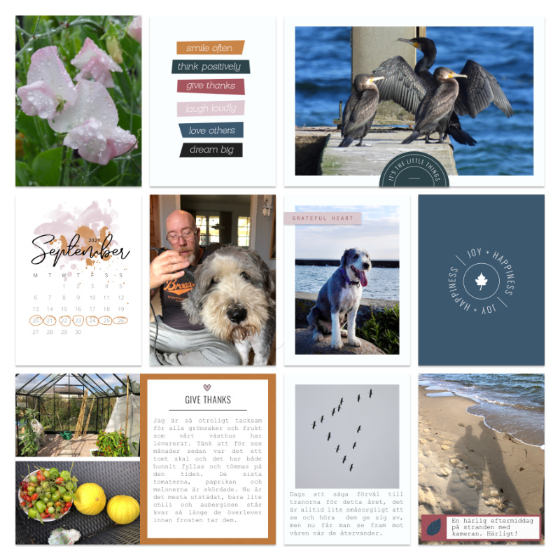 Week 38a 2021