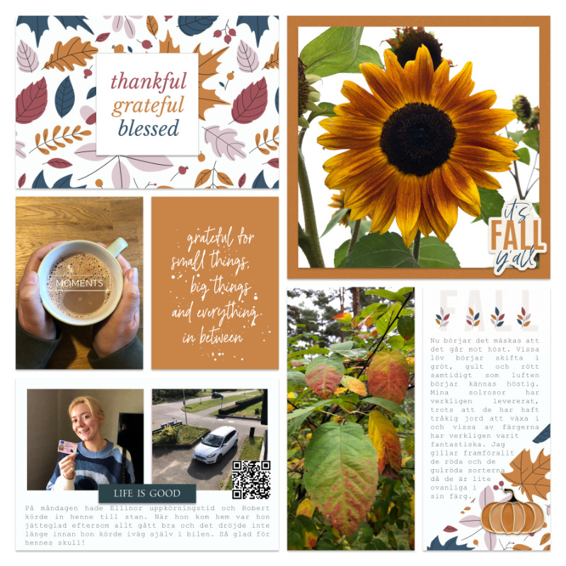 Week 38b 2021