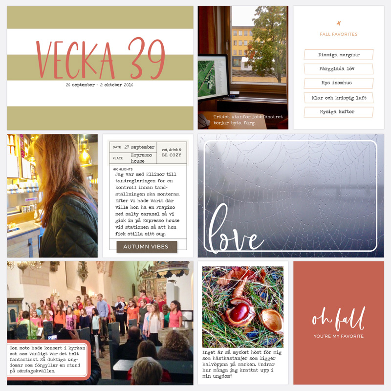 Week 39 2016