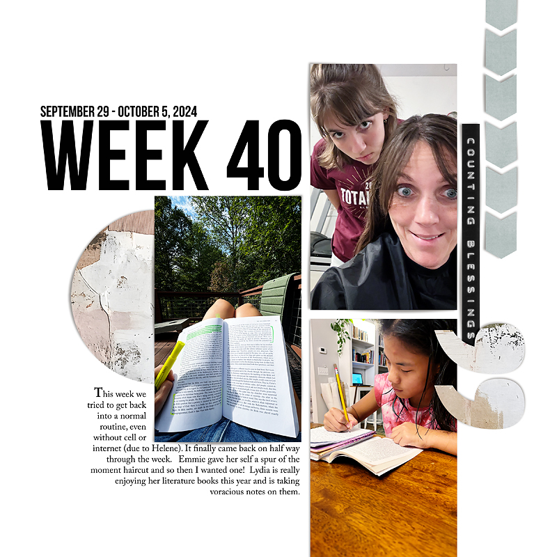 Week 40 {left} 2024