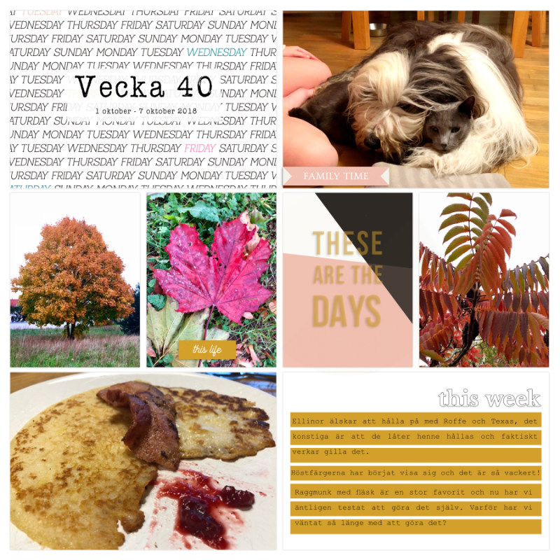 Week 40a 2018