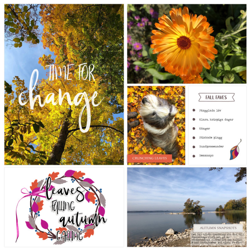 Week 41b 2018
