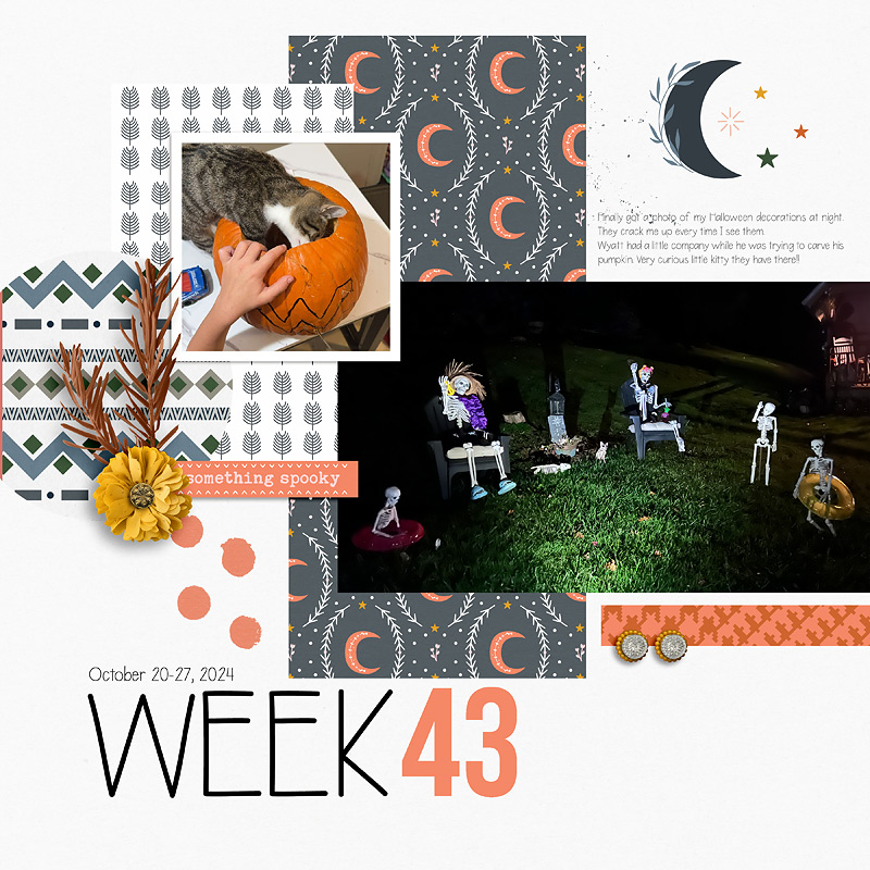 Week-43L