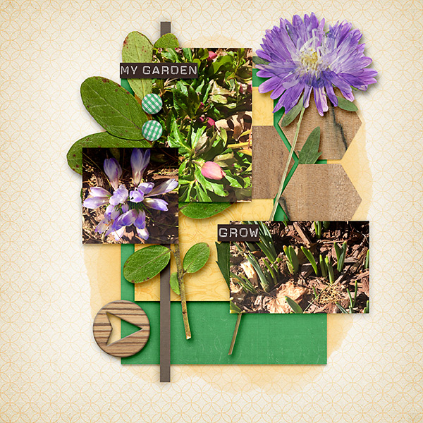 Welcome Spring