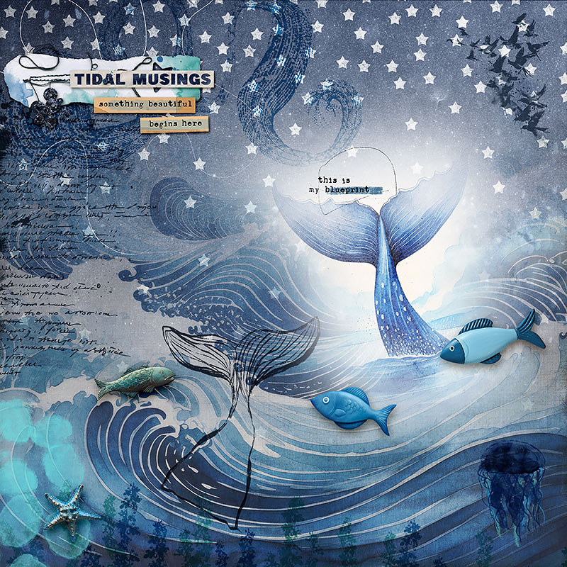 whale dreams