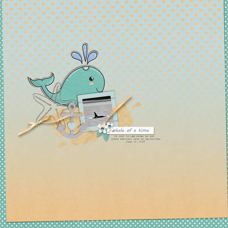 whale-of-a-time