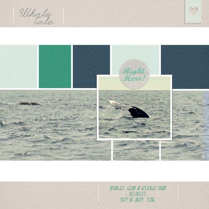 Whale Tale
