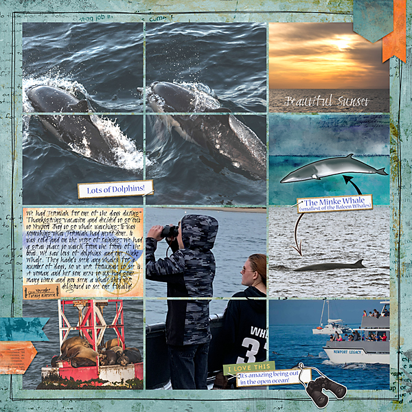 Whale-Watching