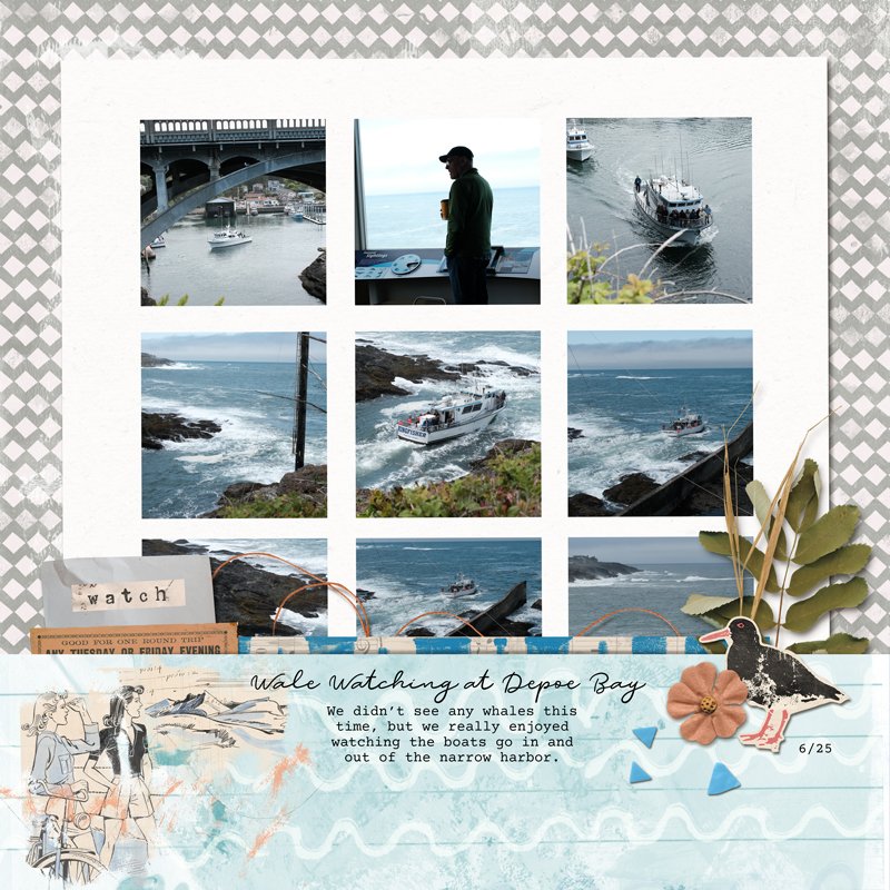 Whale Watching