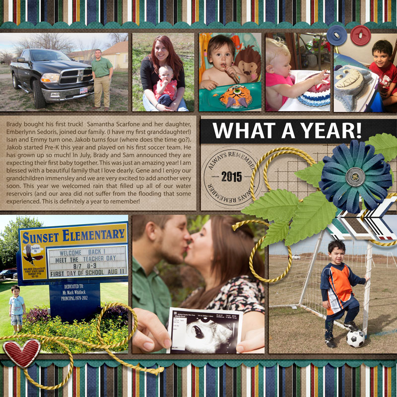 What a Year 2015 MOC4-Day26-2015InReview
