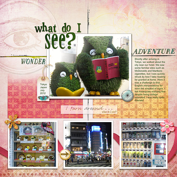 What Do I See In Tokyo?