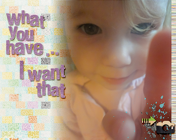 What You Have