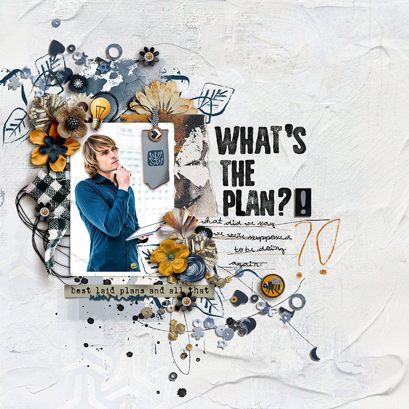 What's The Plan?!